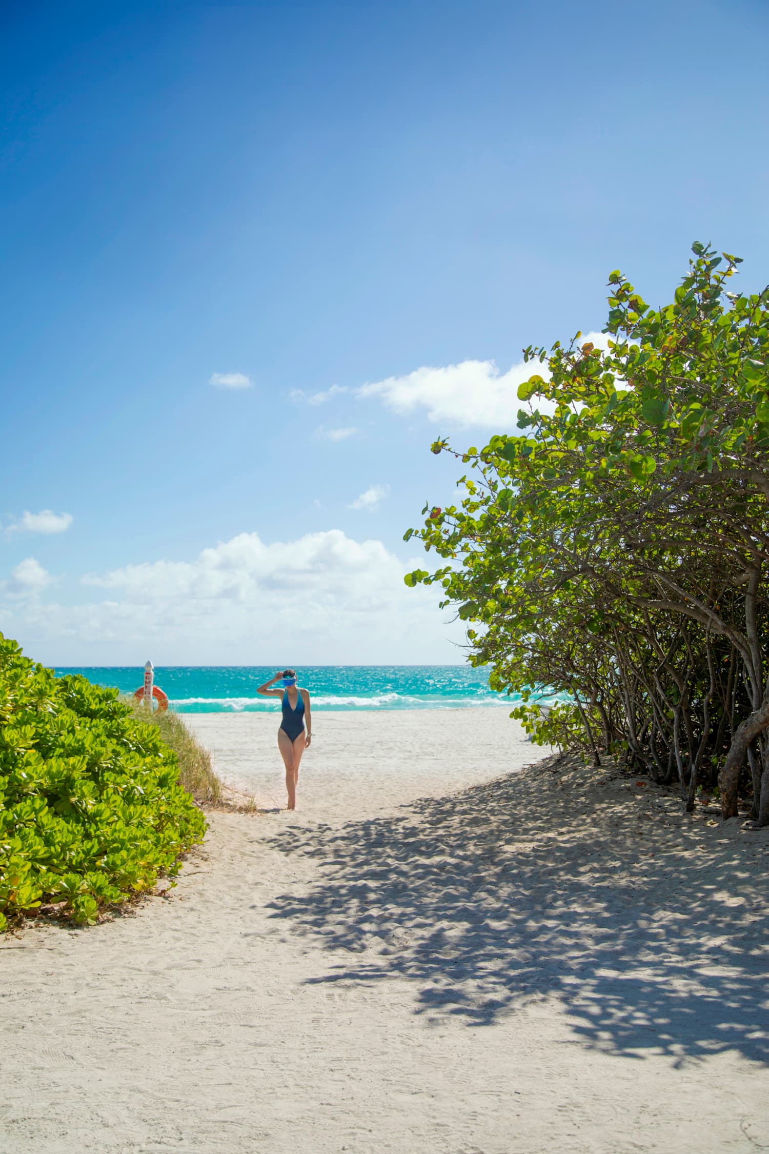 Arte Surfside photo 16
